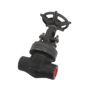 NEW FLOWSERVE 3/4"-800 GLOBE VALVE 12141