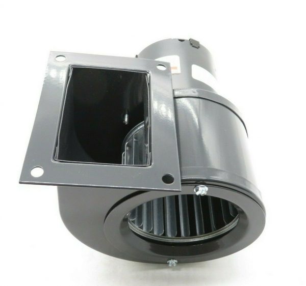 NEW DAYTON 6FHX8 BLOWER 2 1/2 INCH WITH 3 3/4 INCH DIA. 4C446 - Image 4