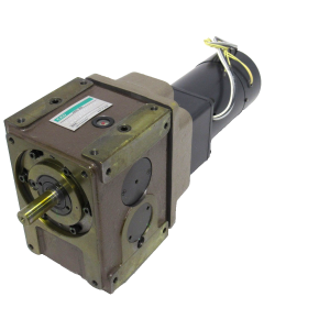 NEW CKD RGIS050-006300S1S1-KGKBDSPG INDEXER 200V 5GN60K